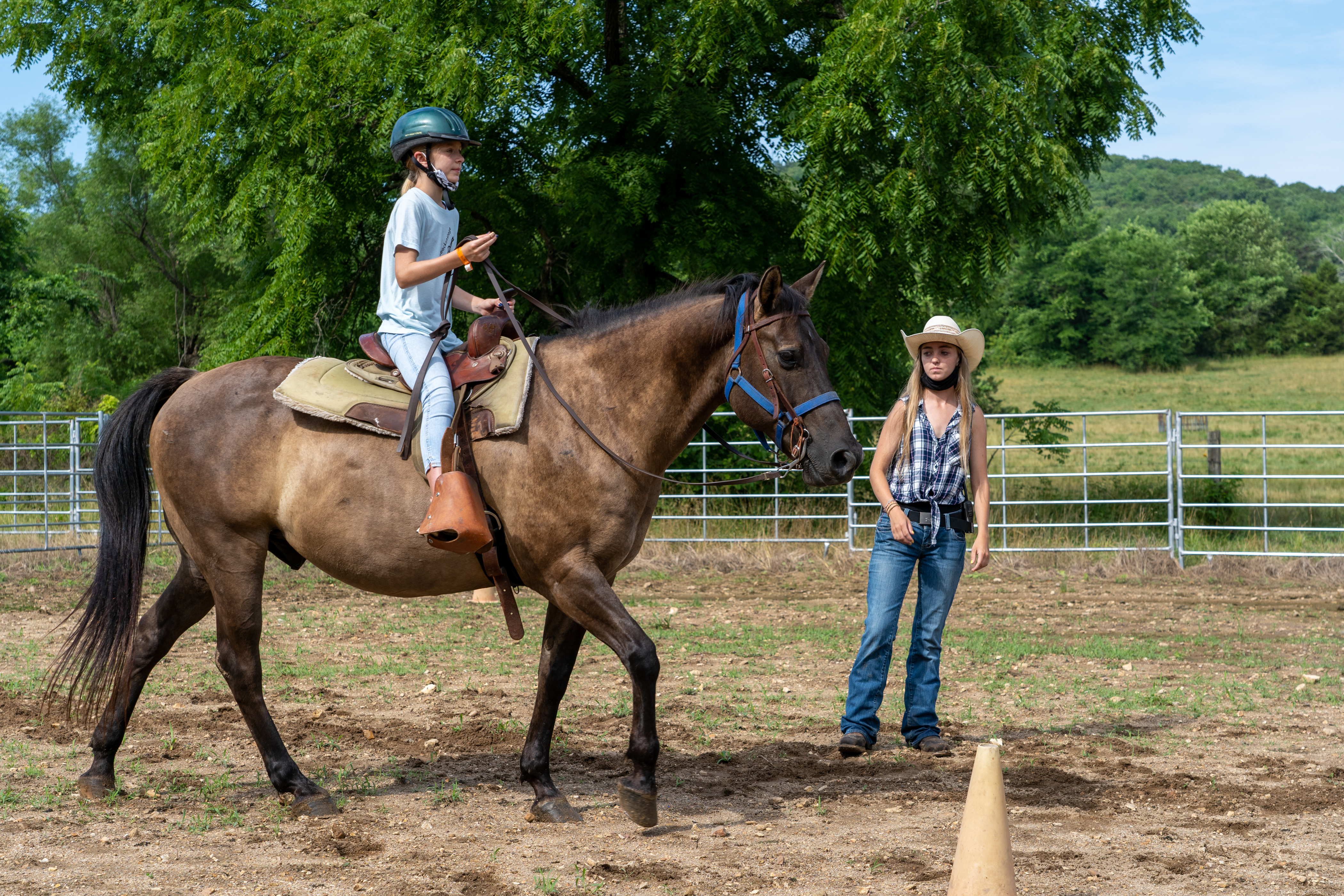Equestrian 2