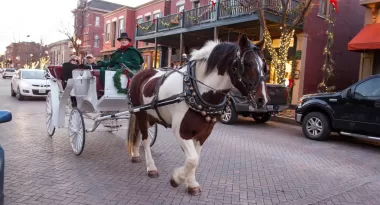 carriage ride in st. charles at christmas traditions