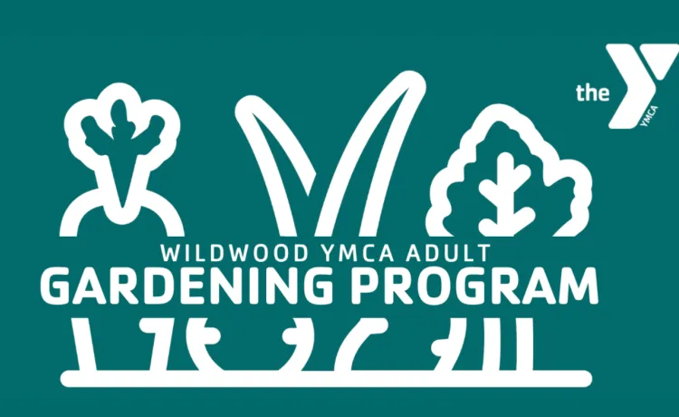 wildwood ymca adult gardening program
