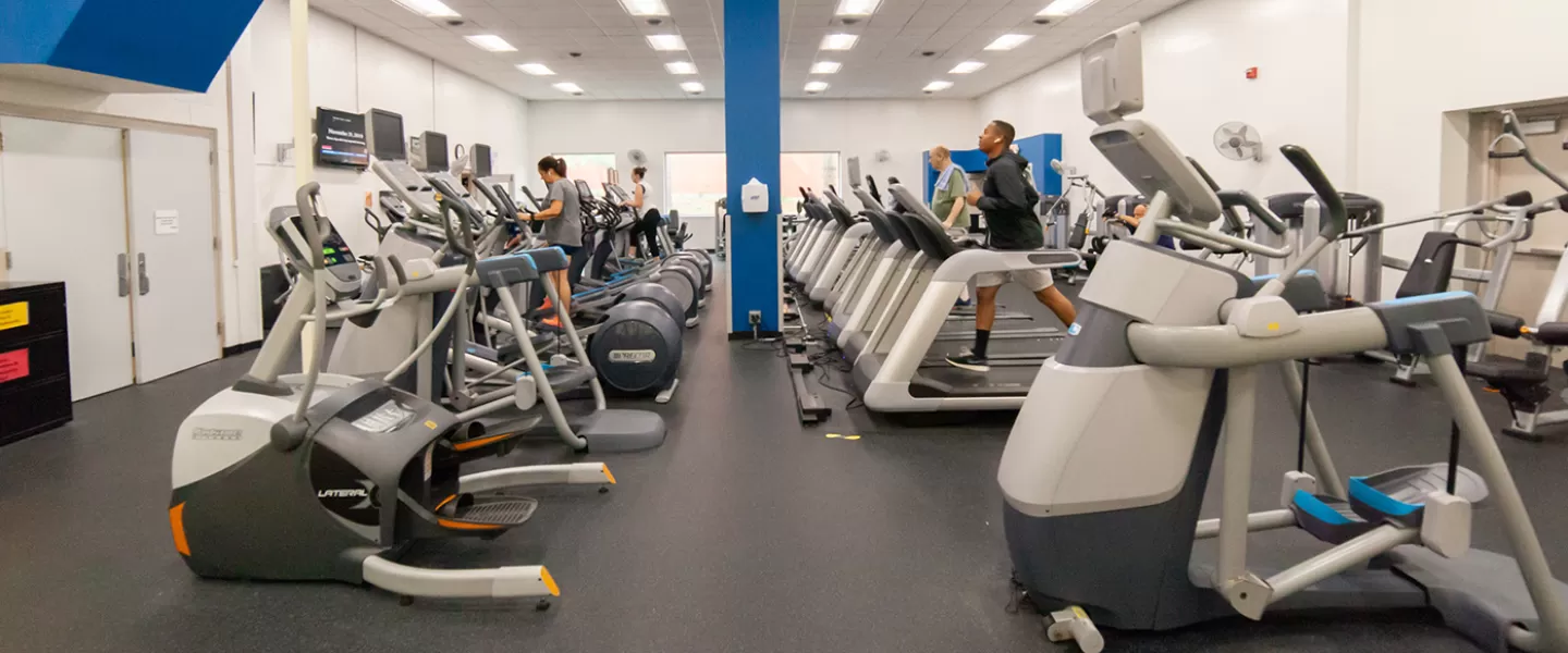 Cardio room with rows of treadmills, ellipticals, and zero-impact trainers.