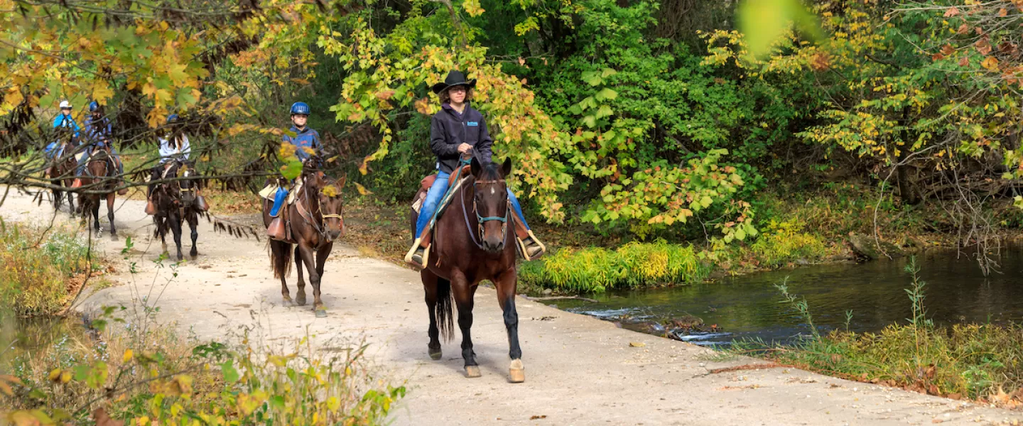 Riders on Bluff Trail Ride overlooking forested bluffs and creek views