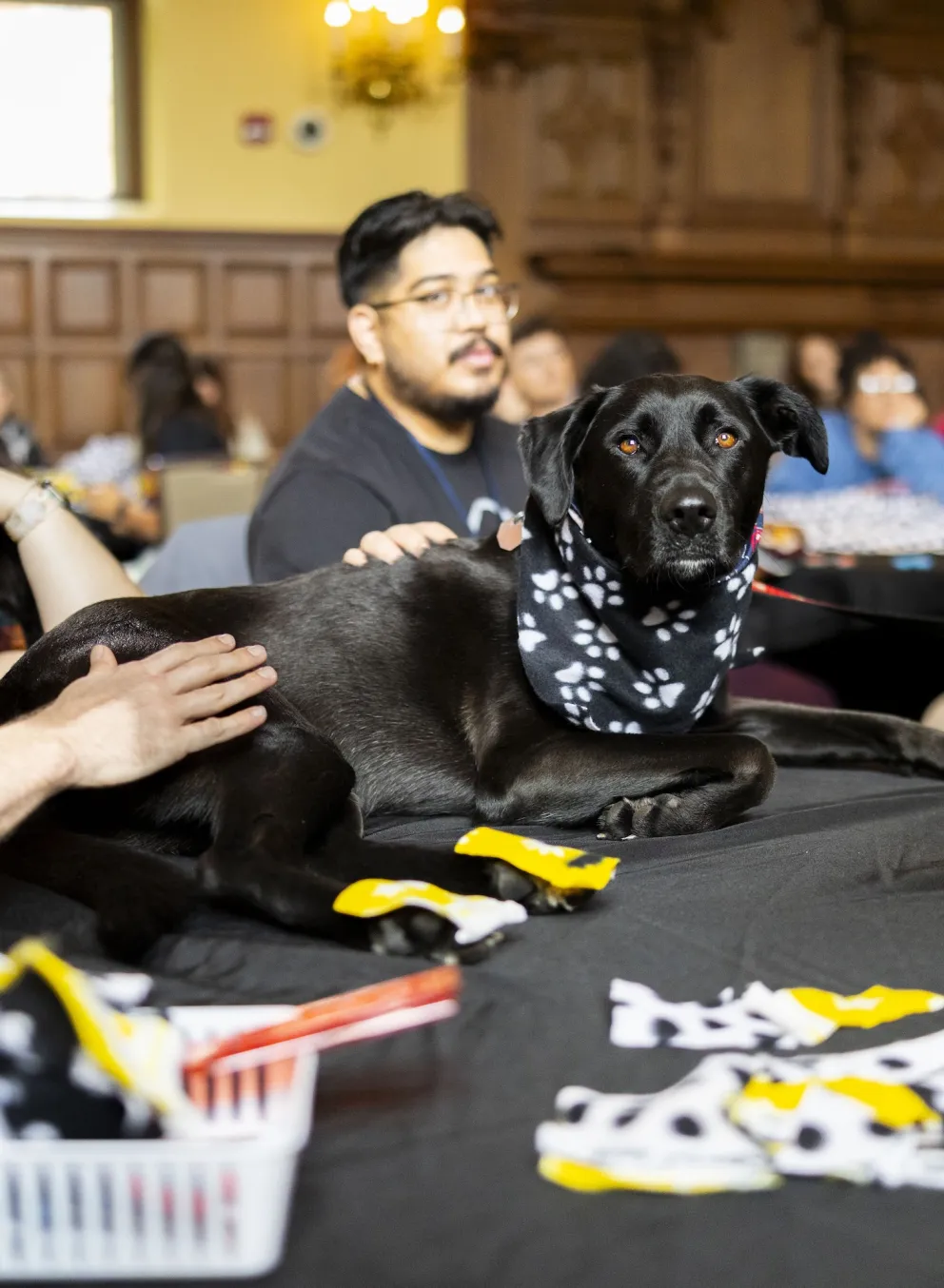 washu campus y wags