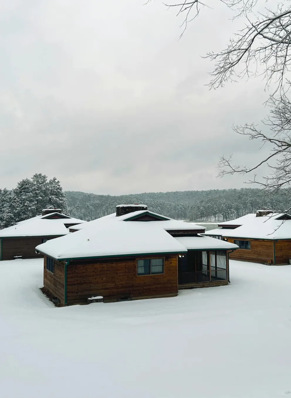 YMCA Trout Lodge Lake View Family Cabins covered in white winter snow next to the Ozark Hills evergreen trees covered in snow and a frozen Sunnen Lake