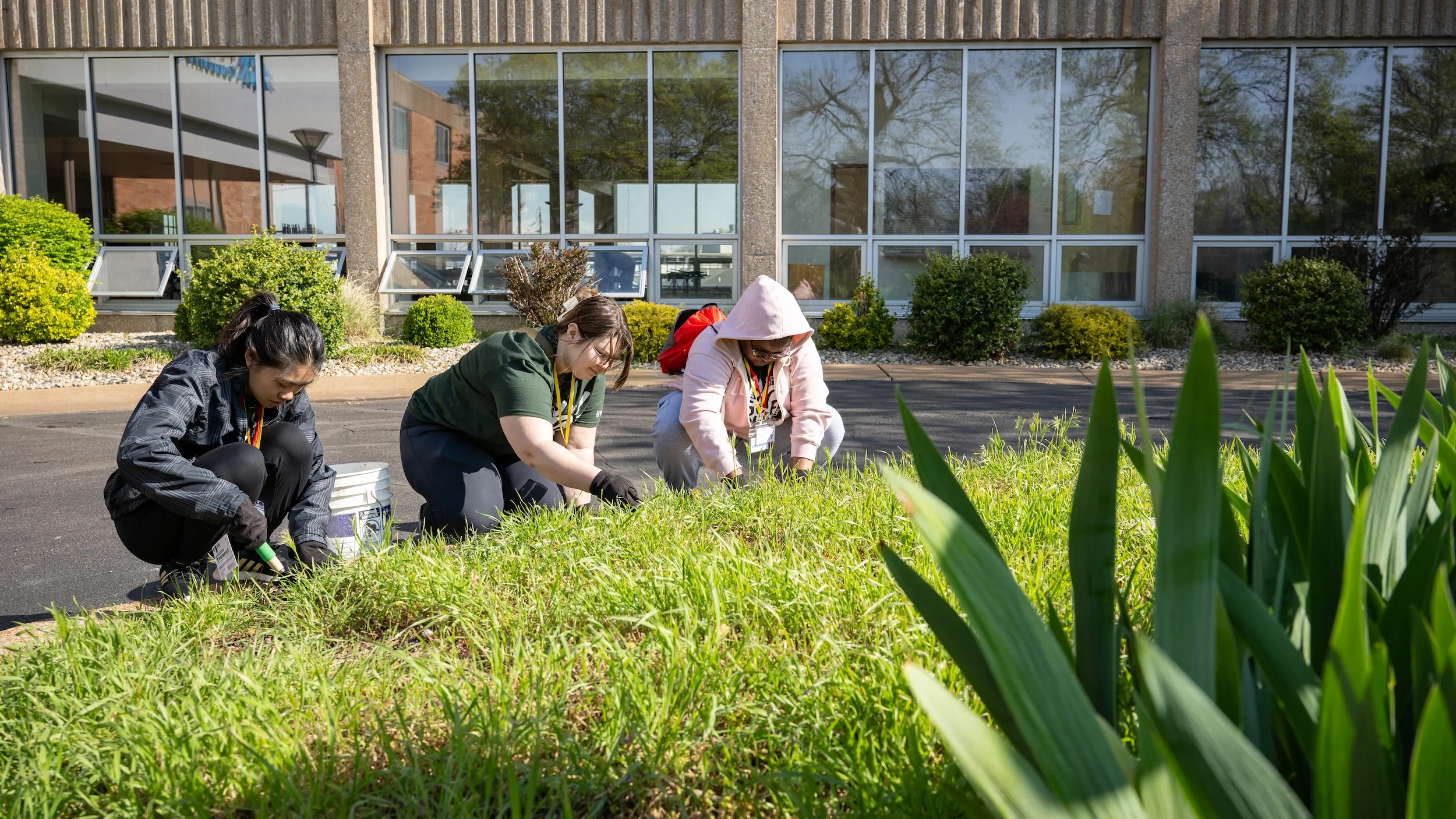 volunteers at washu campus y