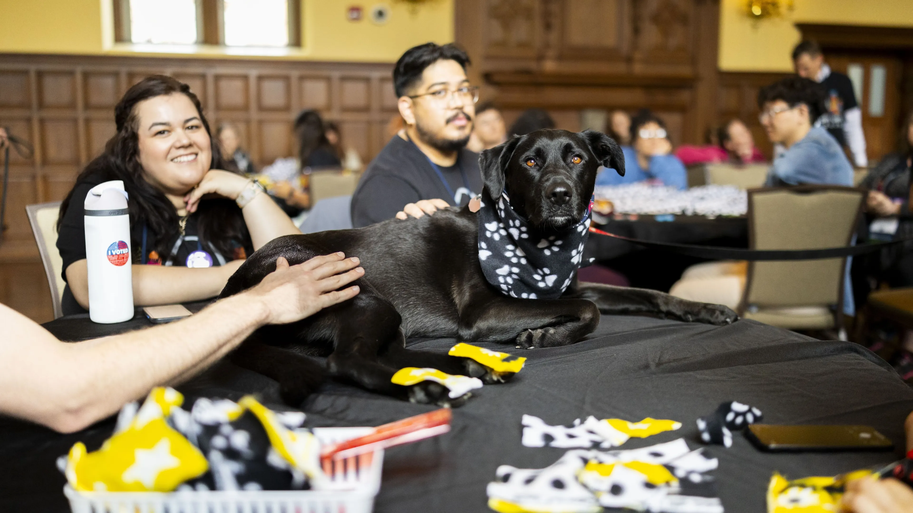washu campus y wags