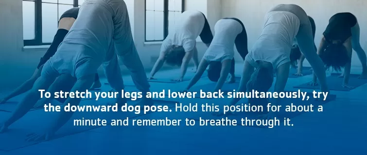 To stretch your legs and lower back simultaneously, try the downward dog pose. Hold this position for about a minute and remember to breathe through it.