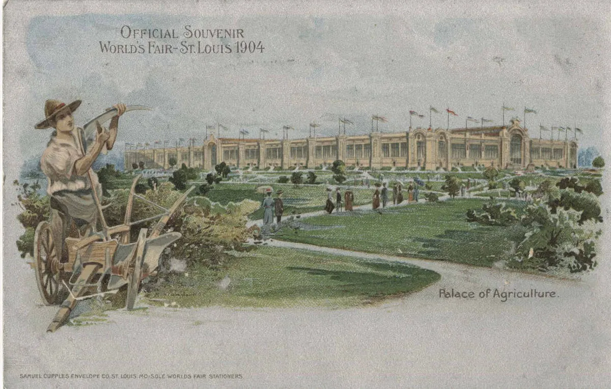 Official souvenir postcard from the 1904 World's Fair in St. Louis, MO collected from the State Historical Society of Missouri's digital photograph collection
