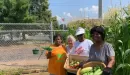 Thumbnail: An image of three middle-aged African American women and one Caucasian female all posing with corn and tomatoes that they picked from the YMCA's garden that they help tend to.