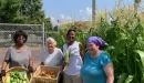 Thumbnail: An image of two middle-aged African American women and two Caucasian female all posing with corn and tomatoes that they picked from the YMCA's garden that they help tend to.