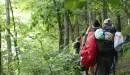 Thumbnail: Campers hiking at Camp Lakewood