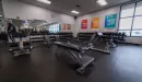 Thumbnail: East Belleville YMCA Free Weights in Belleville Illinois