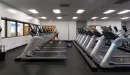 Thumbnail: Cardio area with rows of treadmills and ellipticals