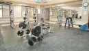 Thumbnail: Free weights and squat racks on non-slip floor.