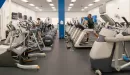 Thumbnail: Cardio room with rows of treadmills, ellipticals, and zero-impact trainers.