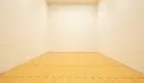 Thumbnail: Racquetball court. Rectangular room with wooden floor and regulation lines on floor.