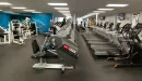Thumbnail: Cardio area with rows of treadmills, ellipticals, and zero-impact trainers.