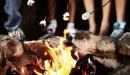 Thumbnail: People roasting marshmallows over a campfire