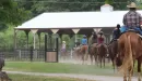 Thumbnail: A group on a trail ride returns