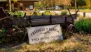Thumbnail: Triangle Y Ranch entrance sign by a vintage wagon