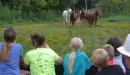 Thumbnail: Guests line up at the fence to watch horses come in