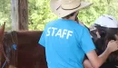Thumbnail: A ranchhand helping a child up on a horse
