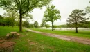 Thumbnail: YMCA Trout Lodge Bluff View Cabins Lake View and Picnic Table