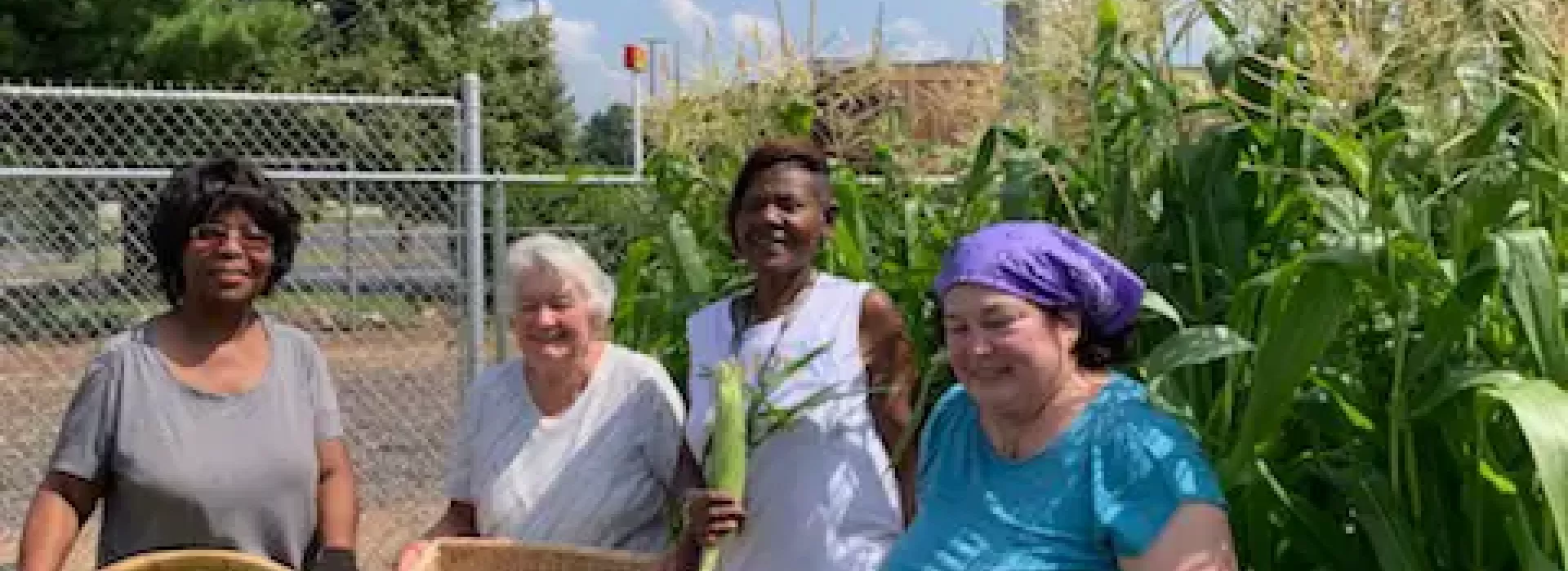 An image of two middle-aged African American women and two Caucasian female all posing with corn and tomatoes that they picked from the YMCA's garden that they help tend to.