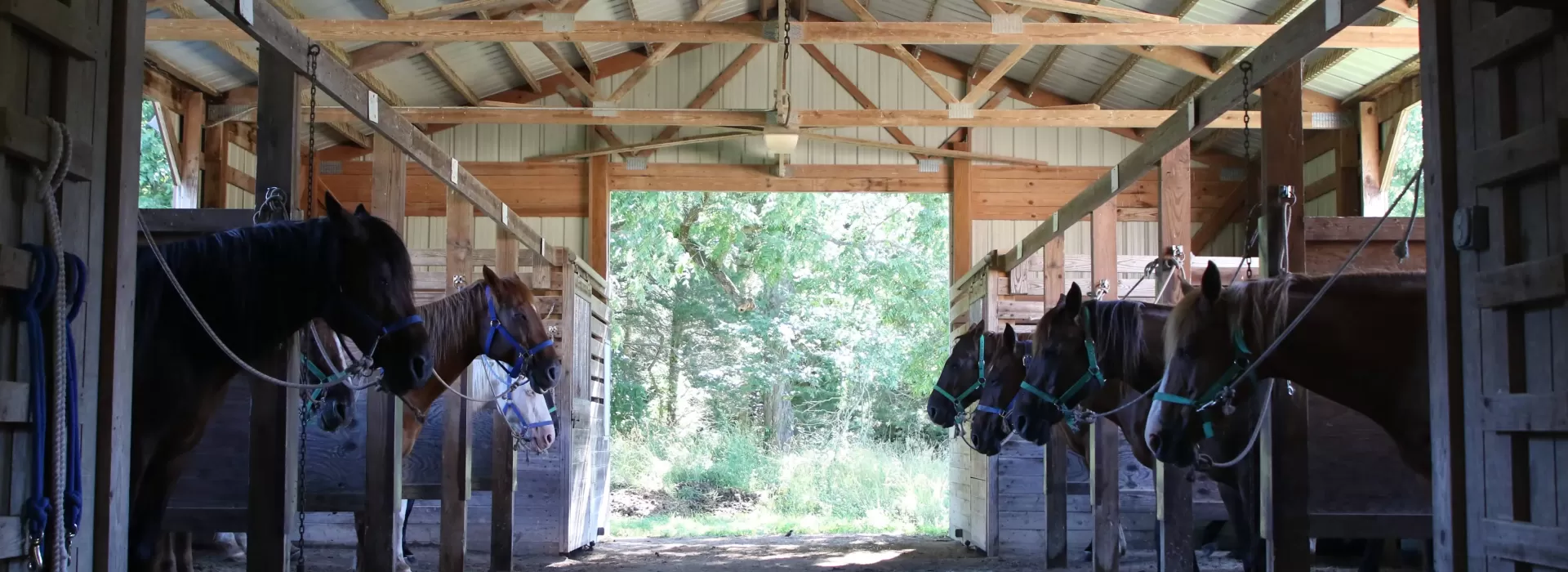 Camp Lakewood horse stables