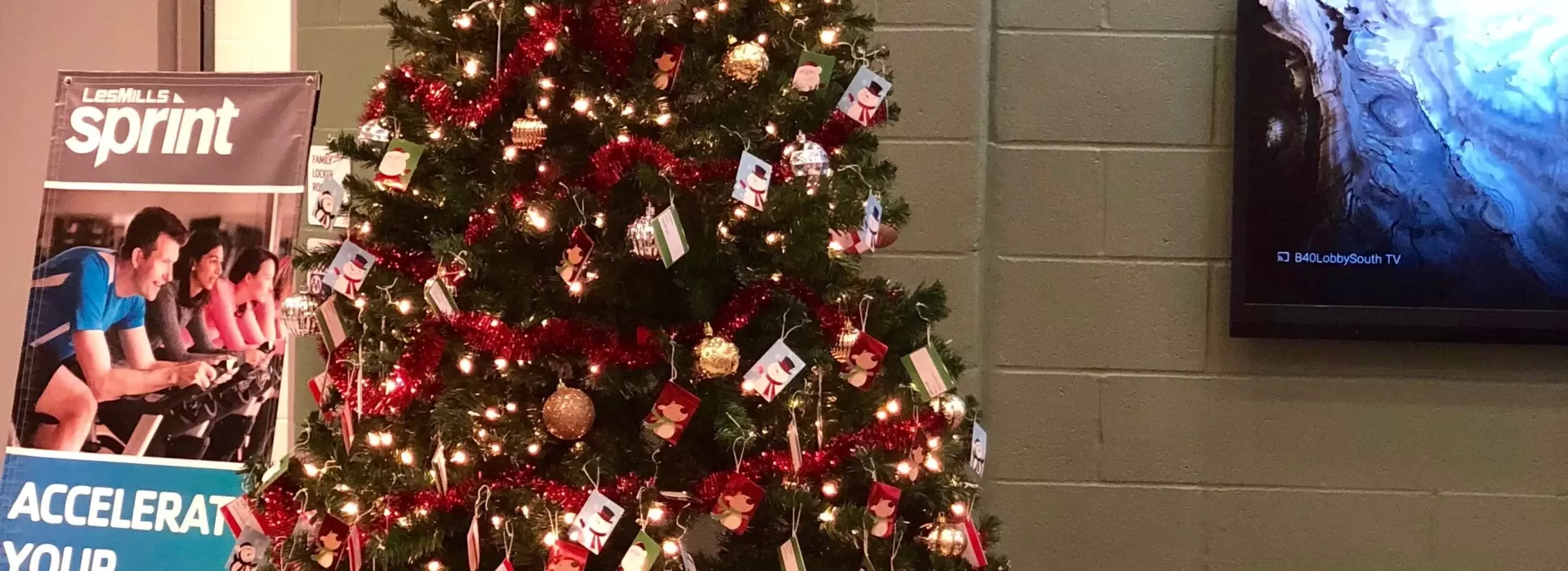 angel tree downtown belleville