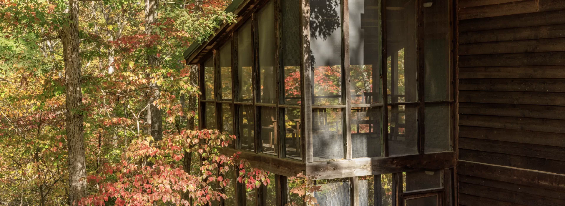ymca trout lodge forest view cabin